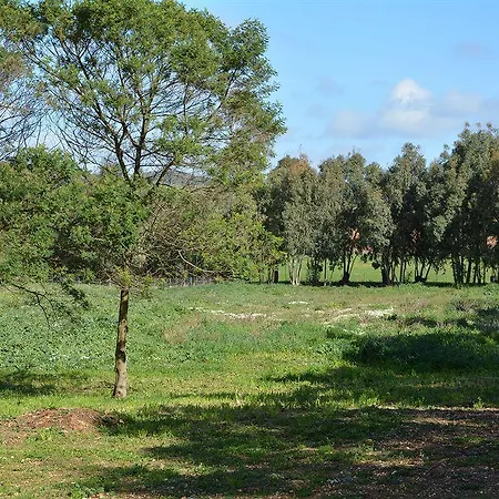 Sa Murta In Sennariolo-oristano Alloggio per agriturismo