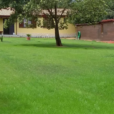 Sa Murta In Sennariolo-oristano *