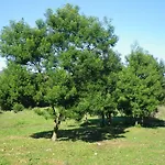 Sa Murta In Sennariolo-oristano 15 Minuti Da Bosa Сеннариоло