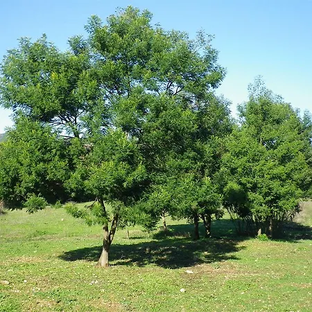 Sa Murta In Sennariolo-oristano 15 Minuti Da Bosa Sennariolo
