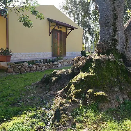 Sa Murta In Sennariolo-oristano * 塞纳里奥罗