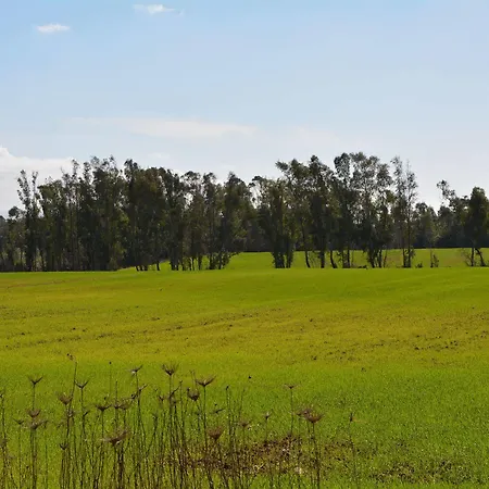 Sa Murta In Sennariolo-oristano Фермерский дом