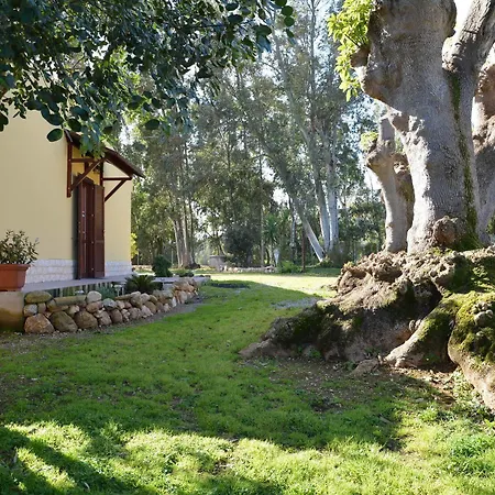 Alojamento de Turismo Rural Sa Murta In Sennariolo-oristano *