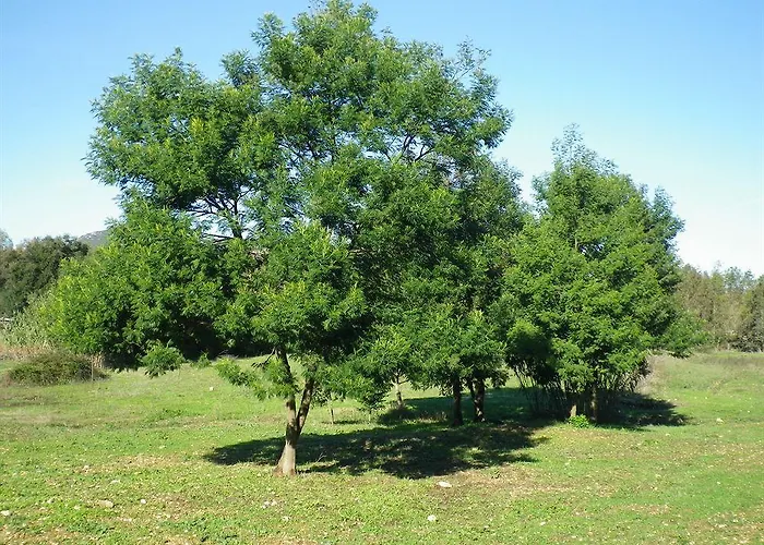 Sa Murta In Sennariolo-oristano Сеннариоло