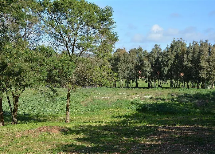 Sa Murta In Sennariolo-oristano Фермерский дом