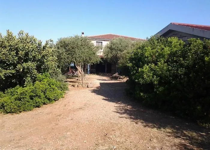 Sa Murta In Sennariolo-oristano * Сеннариоло